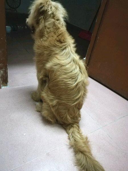 基金撤单到底是个啥？手把手教小白避坑指南！