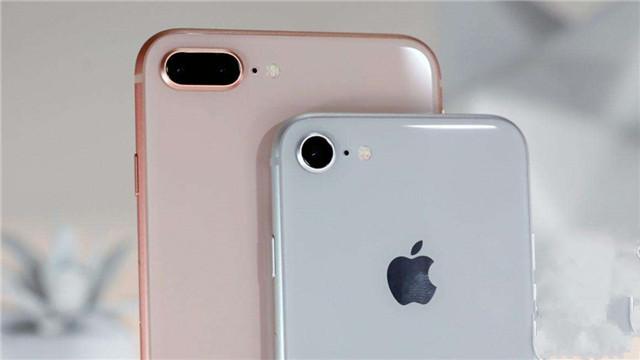 2006年2月17日出生的人命运如何？详解命理分析