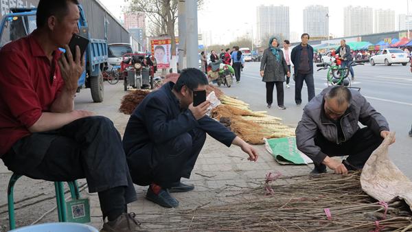 三月初三这天到底藏着多少老祖宗的秘密？