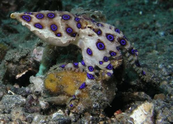 2022年7月哪天搬家最旺运？