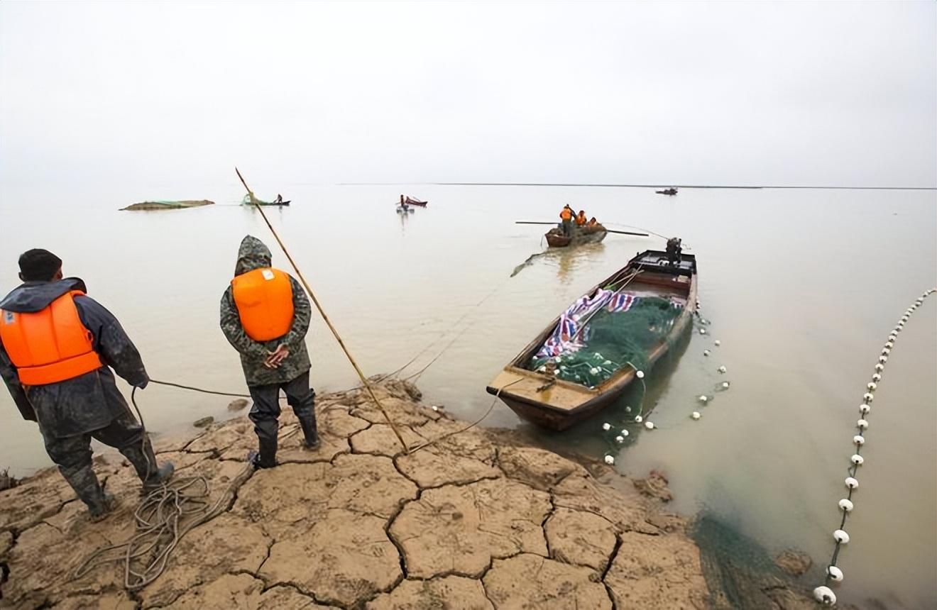 1977年10月17日出生的人五行缺什么？详细解析与命理分析