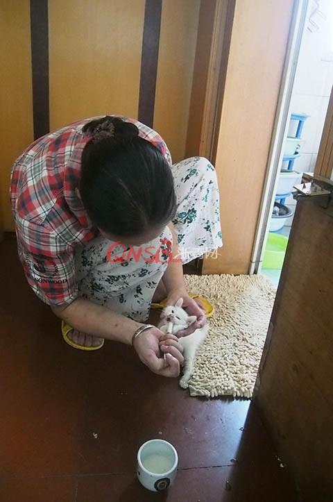 2024年8月上香吉日查询:哪几天最适合上香?详细指南 2024年8月上香吉日查询:哪几天最适合上香?详细指南