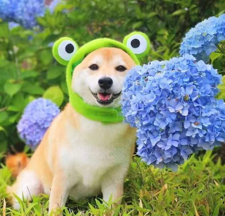 淘宝下单后多久能收到货？