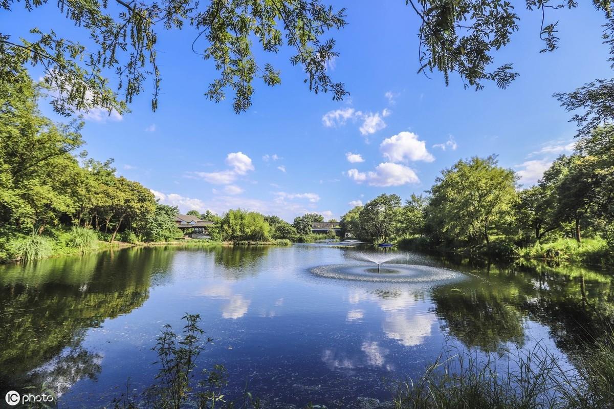 游戏里那只神出鬼没的杜鹃到底怎么抓？