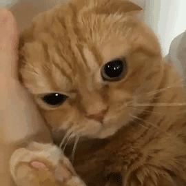 2013年你的生肖运势真的会影响生活吗？