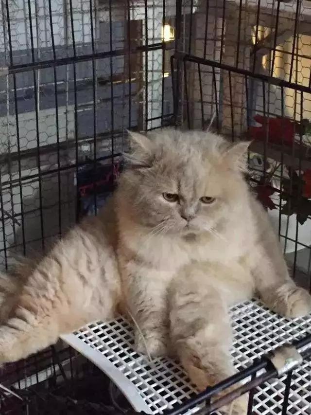 鬼节出生的人真的命硬吗？