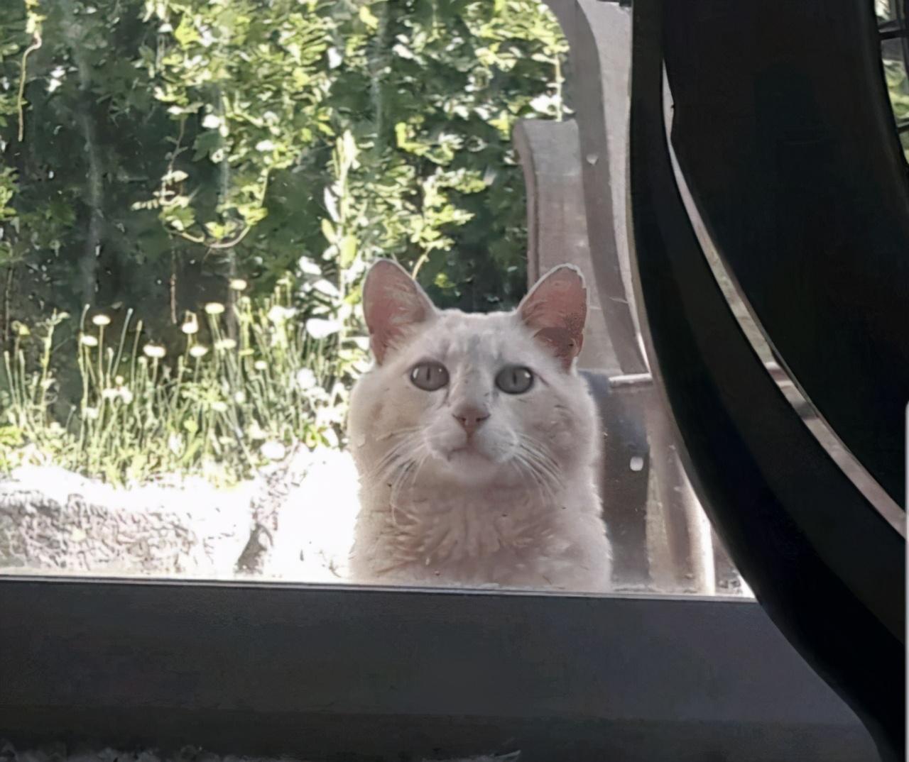 2024年9月搬家黄道吉日查询：哪几天最适合搬家？