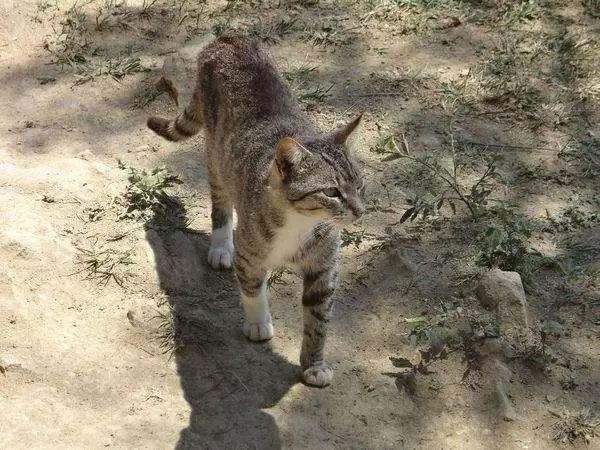 爱米策划App无法提现怎么办-网上做单平台被骗充值提现不了如何追回 