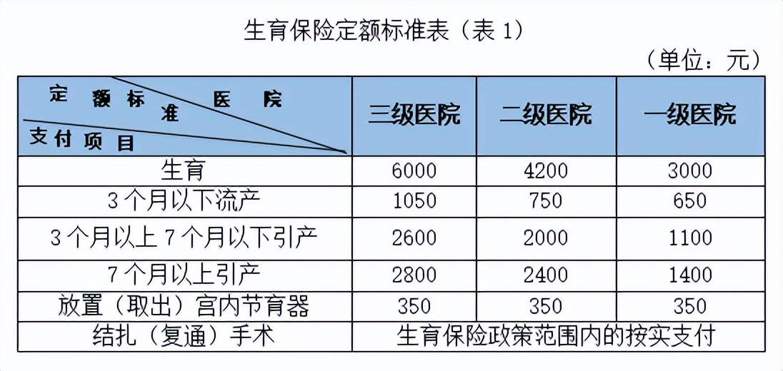 生育保险报销标准不够覆盖医疗费怎么办?补充办法汇总 生育保险报销标准不够覆盖医疗费怎么办?补充办法汇总