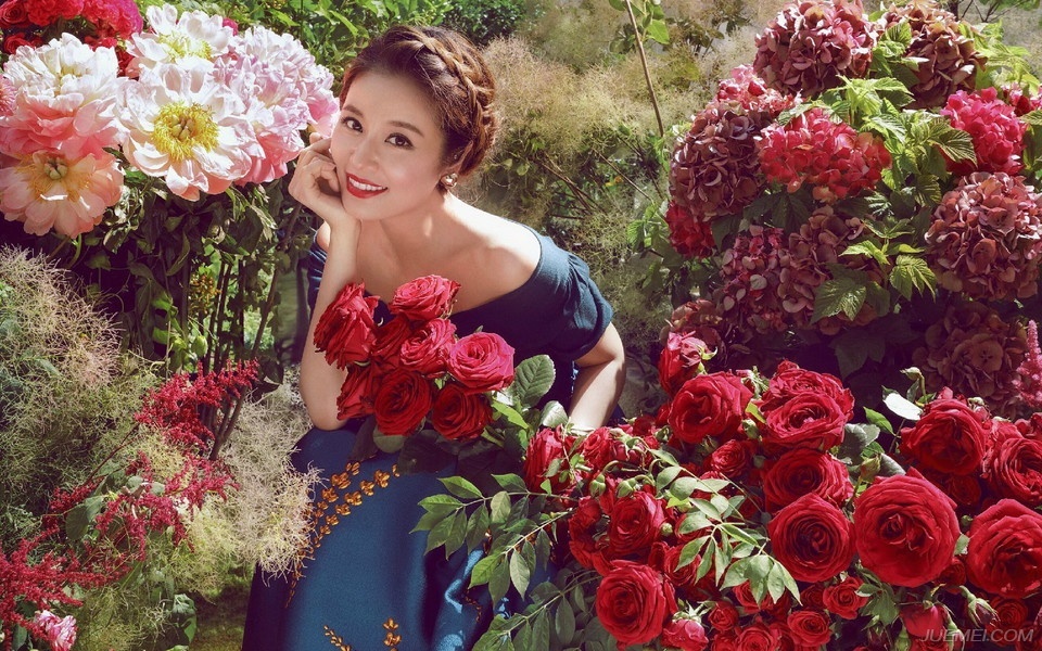 林心如梦里歌词解析_红玫瑰梦里歌词含义？