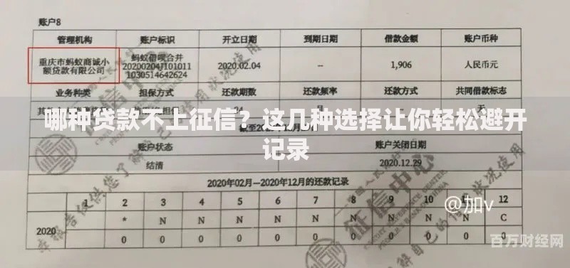 手机查个人征信报告流程复杂吗？详细步骤拆解，新手也能快速上手