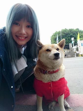 猫咪永久破解版真的能免费解锁所有功能吗？