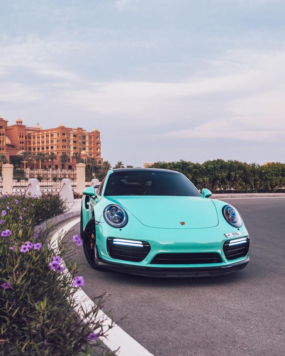 猫咪为什么突然开始吃自己的粑粑？