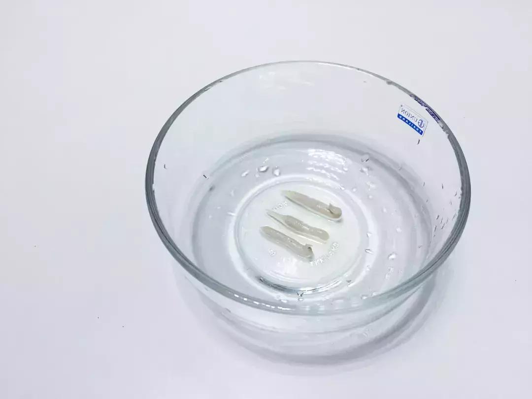 猫咪死活不吃化毛膏怎么办？