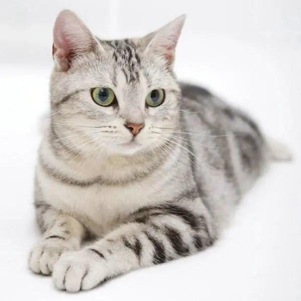 2021年9月哪天最适合结婚搬家？