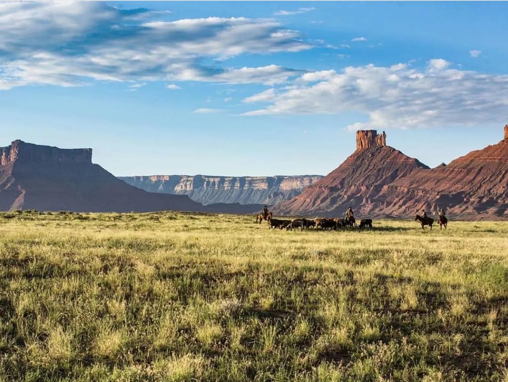 你身上的痣藏着什么人生密码？
