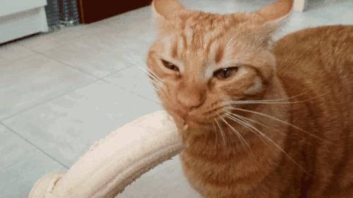 劳斯莱斯论坛：顶级车主如何省30万实现全流程购车？