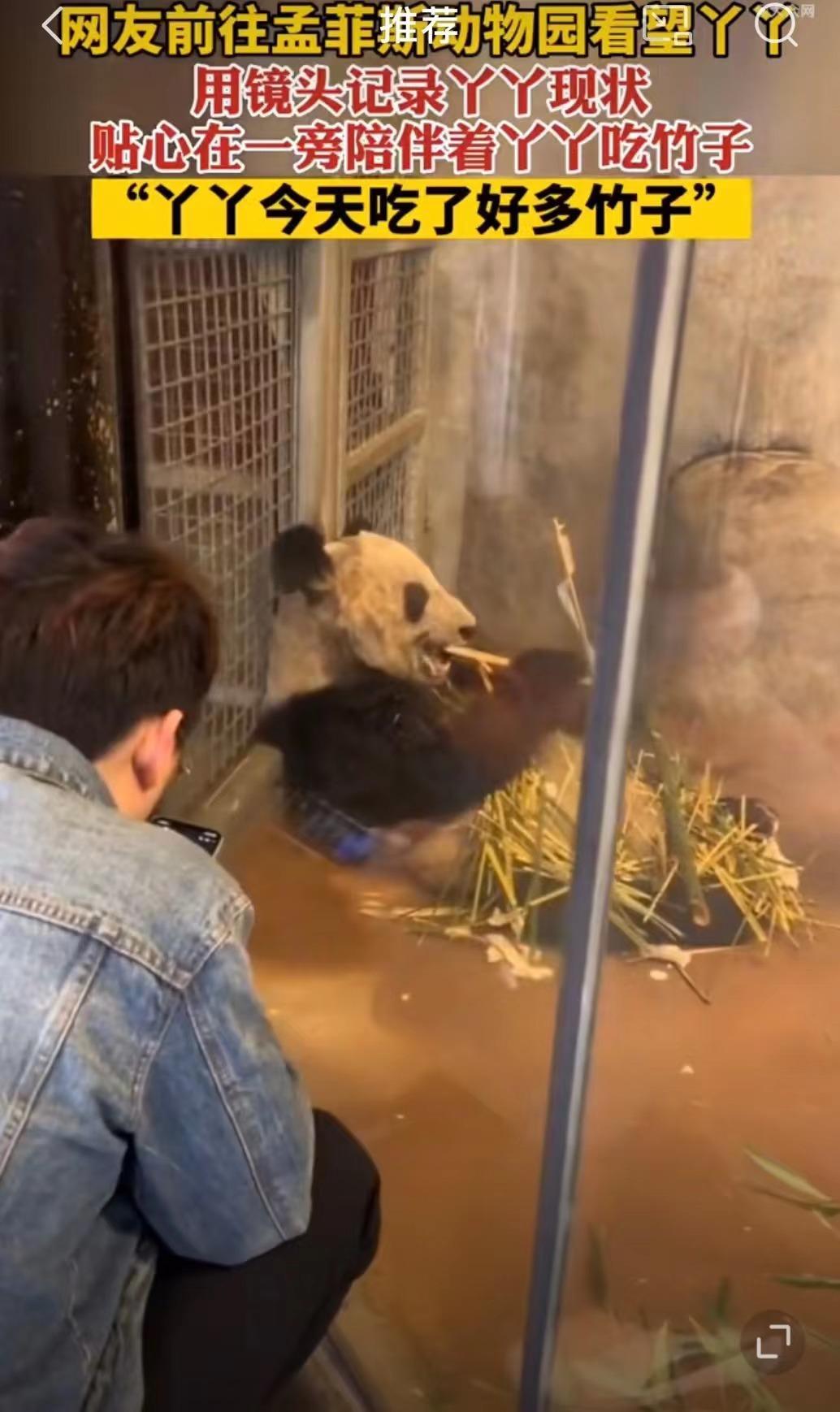 在yy的港湾连载小说到底有多难？