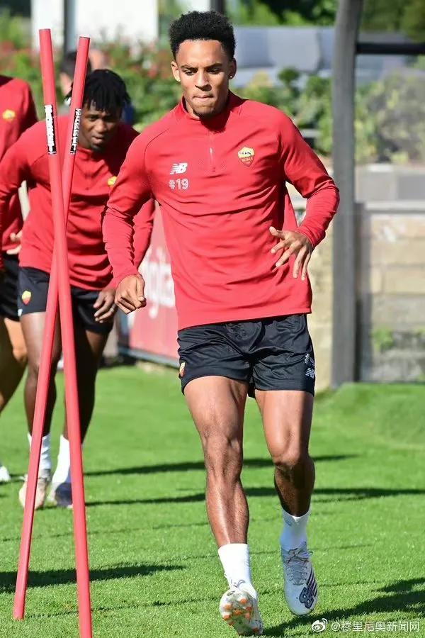 你家猫咪总蹭屁股?可能是这个隐形杀手在作祟! 你家猫咪总蹭屁股?可能是这个隐形杀手在作祟!