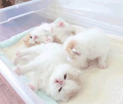 二手五菱扬光值不值得买 新手如何避坑省3万油费