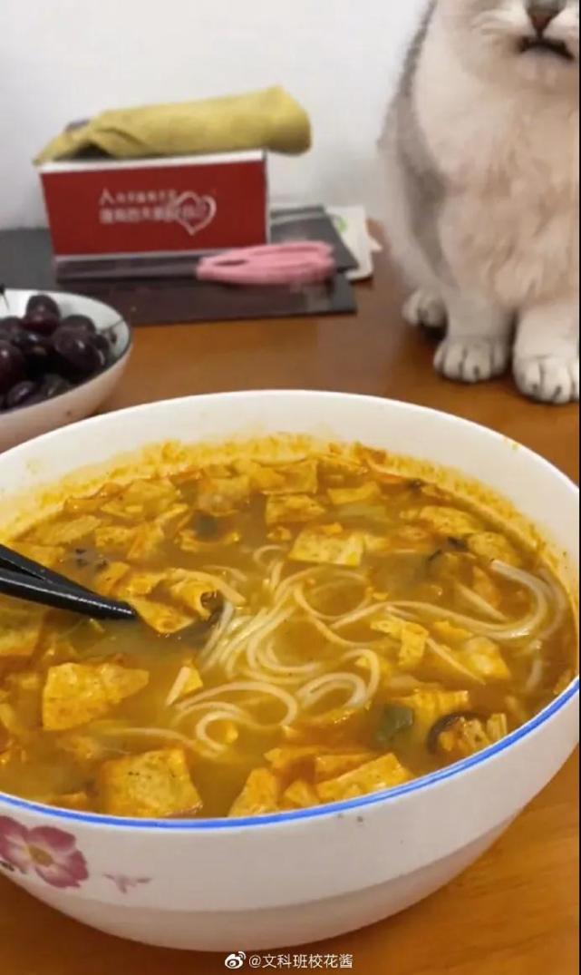 猫咪偷吃火腿肠会出事吗？