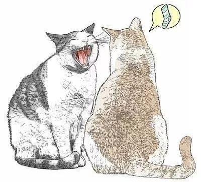 你家猫咪下巴突然变黑了？这到底是怎么回事？