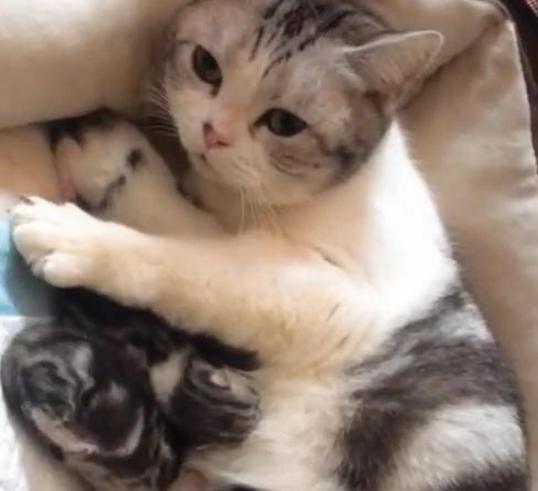 菲亚特派力奥1.3真的能成为新手司机的第一台车吗？