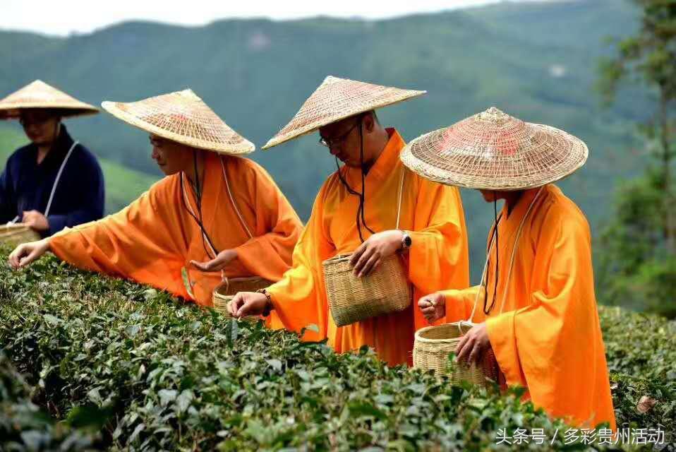 佛大华人论坛真的是留学生活必备神器吗? 佛大华人论坛真的是留学生活必备神器吗?