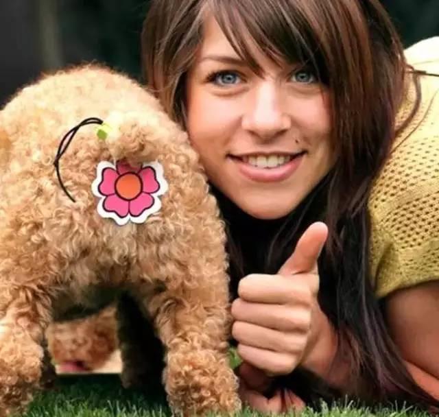 王楚这个角色到底该怎么玩？手残党也能秀翻全场吗？