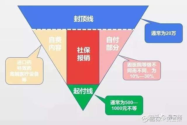 零基础学保险：保险基础知识讲解，轻松入门不头疼
