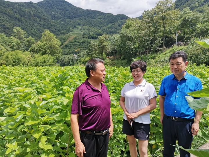 第一次养猫如何避免被坑成冤大头？