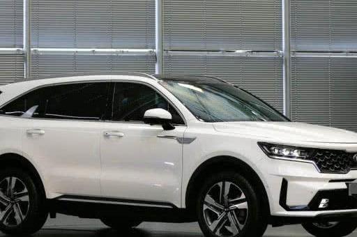 海外华人真的找不到自己的圈子吗？