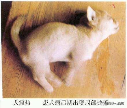 梦见自己剃光头吉利吗？2025年运势转折与能量解码