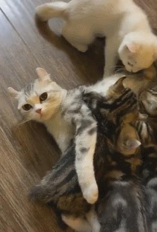 2025年梦见叫花子解梦指南:财富觉醒与危机预警 2025年梦见叫花子解梦指南:财富觉醒与危机预警