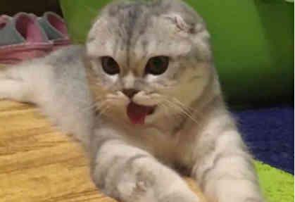 华人论坛注册到底需要哪些神秘暗号？