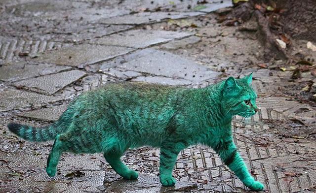 普陀山算卦到底灵不灵?亲身踩坑经验大公开! 普陀山算卦到底灵不灵?亲身踩坑经验大公开!