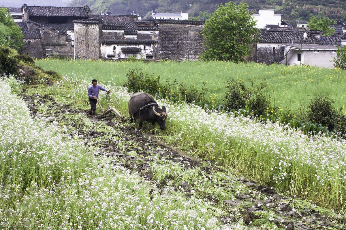 梦见胸口被刀刺流血预示什么?心理学权威解析与应对指南 梦见胸口被刀刺流血预示什么?心理学权威解析与应对指南
