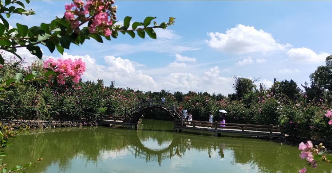 哪种生肖动物最擅长玩捉迷藏? 哪种生肖动物最擅长玩捉迷藏?