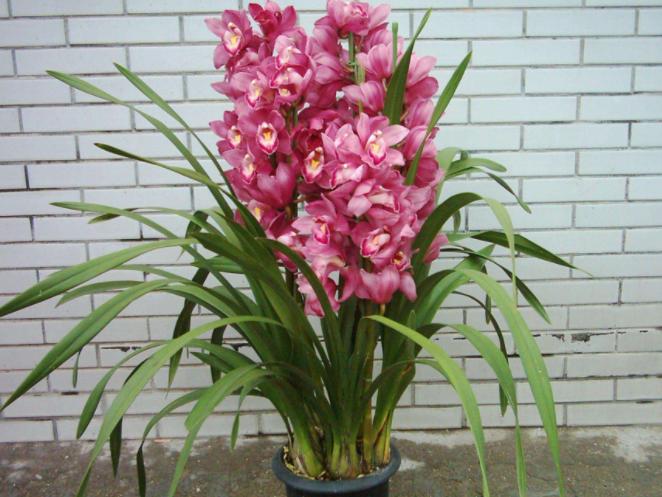 人和爆冷掀翻辽足到底藏着什么门道？