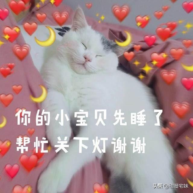 猫咪斗恶龙新手如何三天通关不卡关? 猫咪斗恶龙新手如何三天通关不卡关?