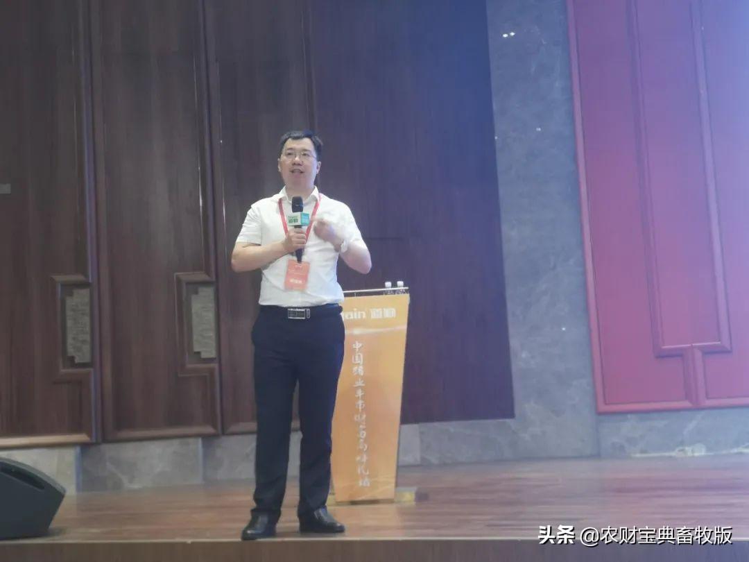 海外华人论坛怎么选才不会踩雷? 海外华人论坛怎么选才不会踩雷?