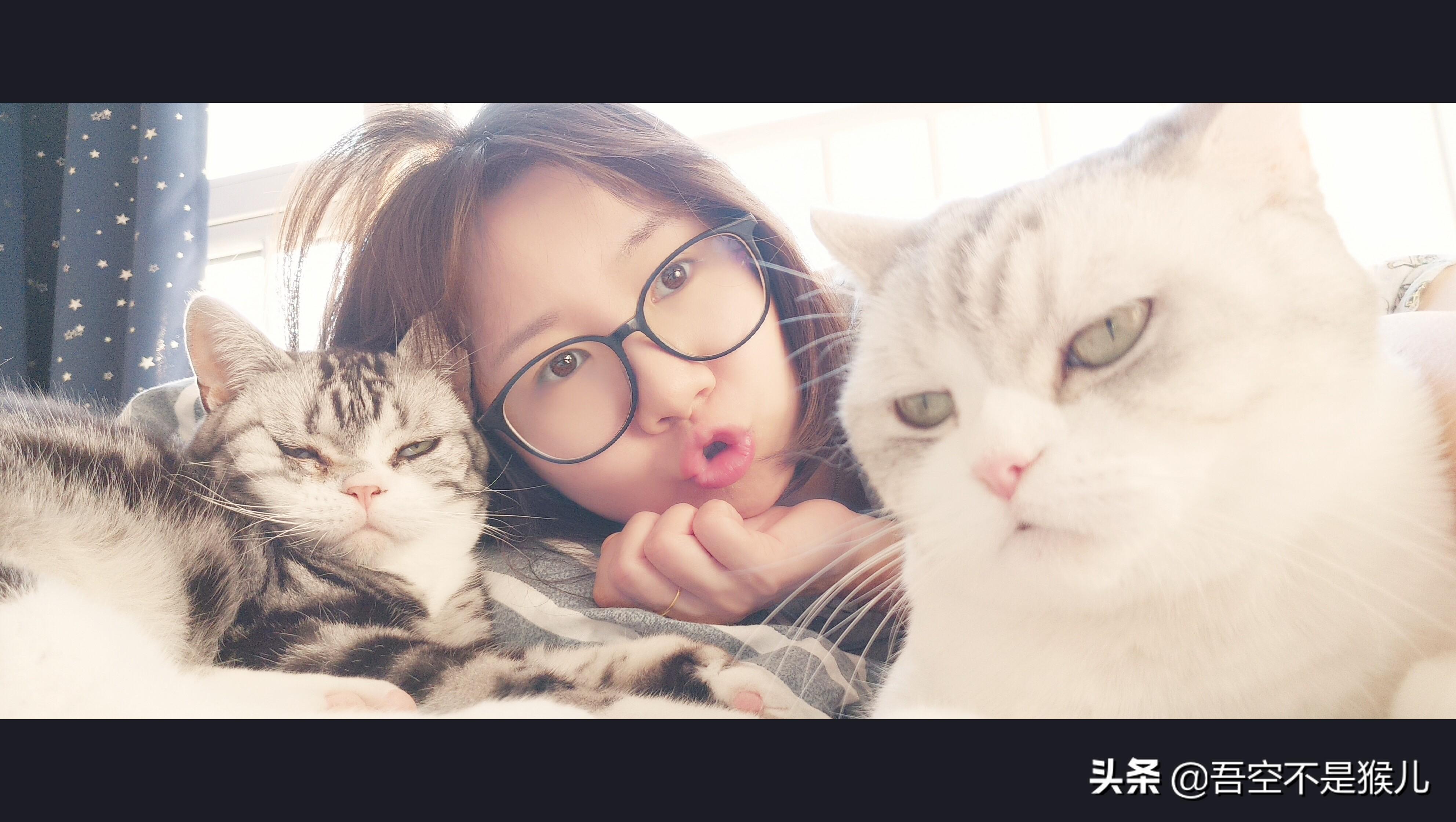 你家主子疫苗打对时间了吗？