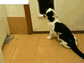 二手海福星值得闭眼入吗? 二手海福星值得闭眼入吗?