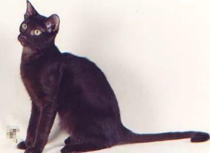 拉莫斯为什么会在皇马告别仪式上哭到说不出话？