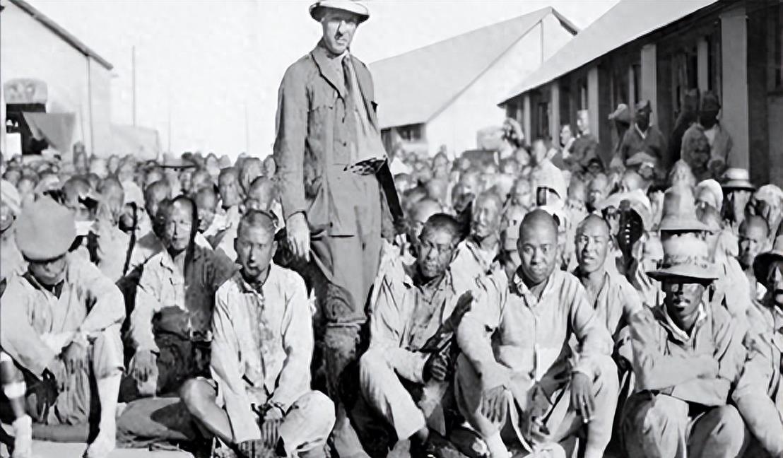 在日华人都在做什么？