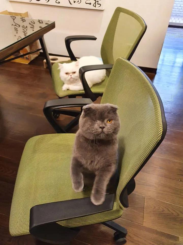 迪拜华人都在瑜伽垫上聊什么? 迪拜华人都在瑜伽垫上聊什么?