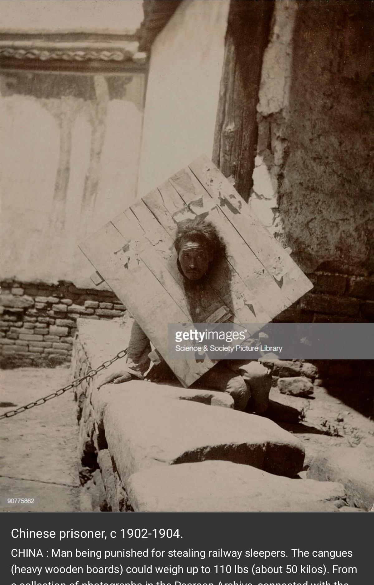 你家主子疫苗打全了吗？这时间表可别记岔了！