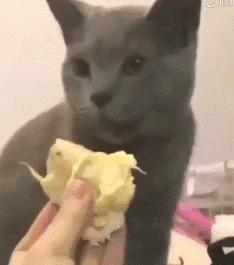 良辰佳丽App被骗充值无法提现怎么办-平台充值无法提现如何追回