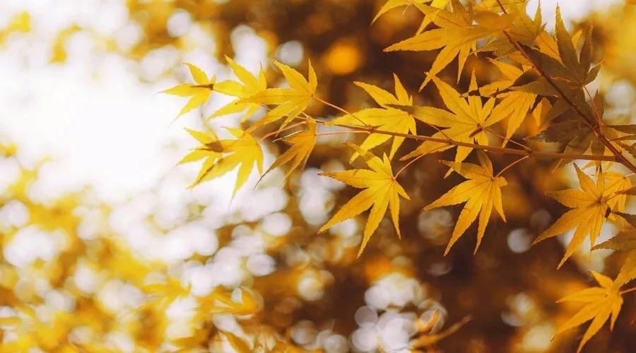 第一次用倍可亲论坛该注意哪些坑? 第一次用倍可亲论坛该注意哪些坑?