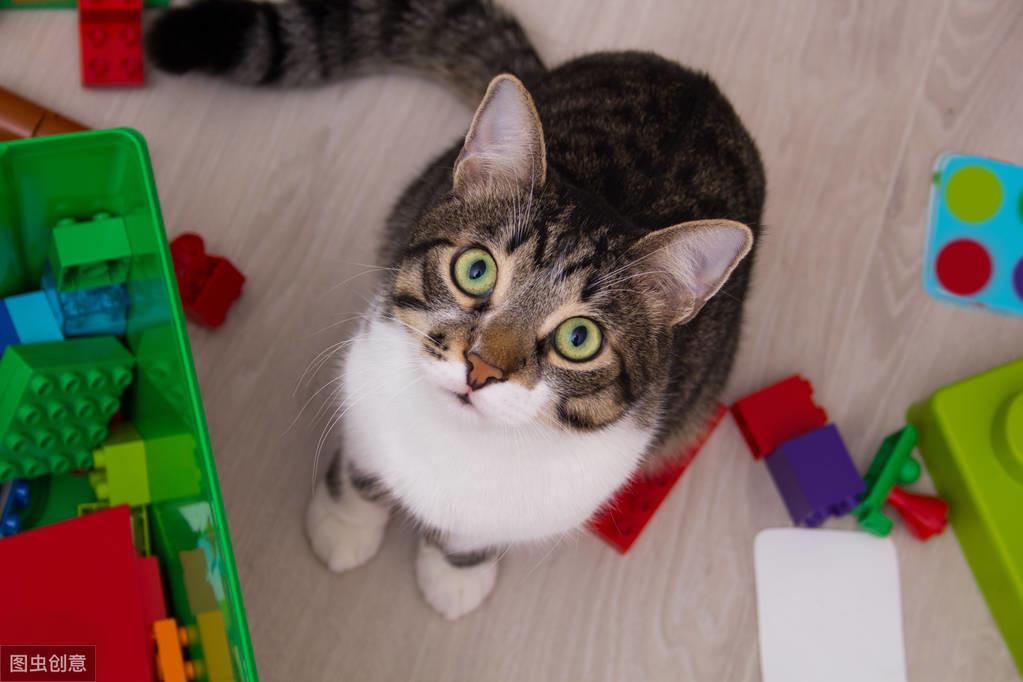 为什么新手总被波尔特按在地上摩擦？